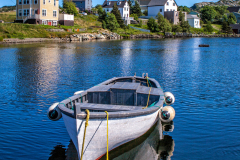 Newfoundland-20100721-0001-2