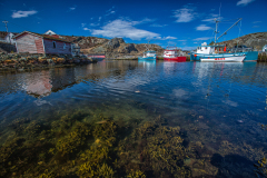 Newfoundland-20150504-0013