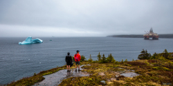 Bay Bulls Berg