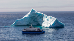 Bay Bulls iceberg and tour boat