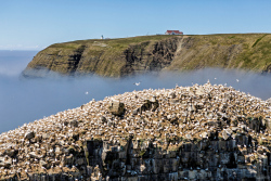 Cape-St-Marys