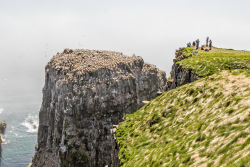 Cape-St-Marys-Bird-Sanctuary-846-of-8502012