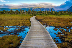 Gros Morne National Park