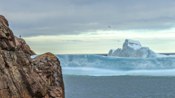 Newfoundland-Iceberg