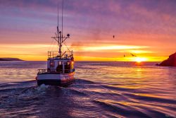 Petty-Harbour-sunrise-28