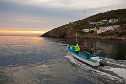 Petty-Harbour-sunrise-food-fishery-129
