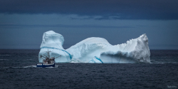 Twillingate-20190525-115