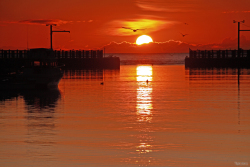 a_typical_petty_harbour_morning