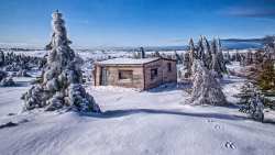 footprints_in_the_snow