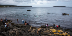 whales-at-Witless-Bay-20160806-426