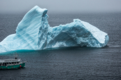 Bay-Bulls-20160526-162