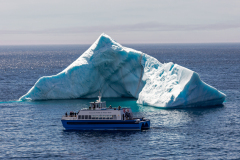 Bay Bulls iceberg and tour boat