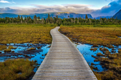 Gros Morne National Park