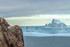 Newfoundland-Iceberg