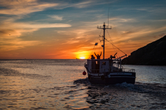 Thank You Sun God at Petty Harbour Newfoundland