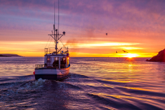 Petty-Harbour-sunrise-28