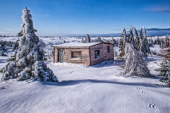 footprints_in_the_snow