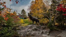 Bowring-Park-20191031-86