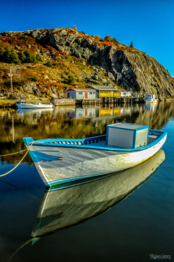 Portrait-of-Quidi-Vidi