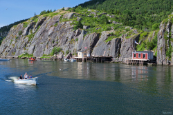 out-for-a-cod-at-quidi-vidi