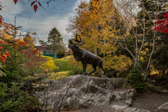 Bowring-Park-20191031-86