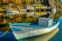 Portrait-of-Quidi-Vidi