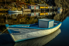 Quidi-Vidi-Past