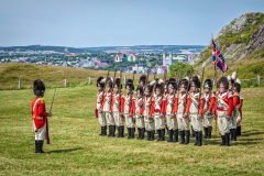 Signal Hill Tatoo 9-of-1362011