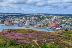 St-Johns-34-of-2052012