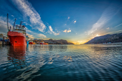 St-Johns-harbour-20141111-6